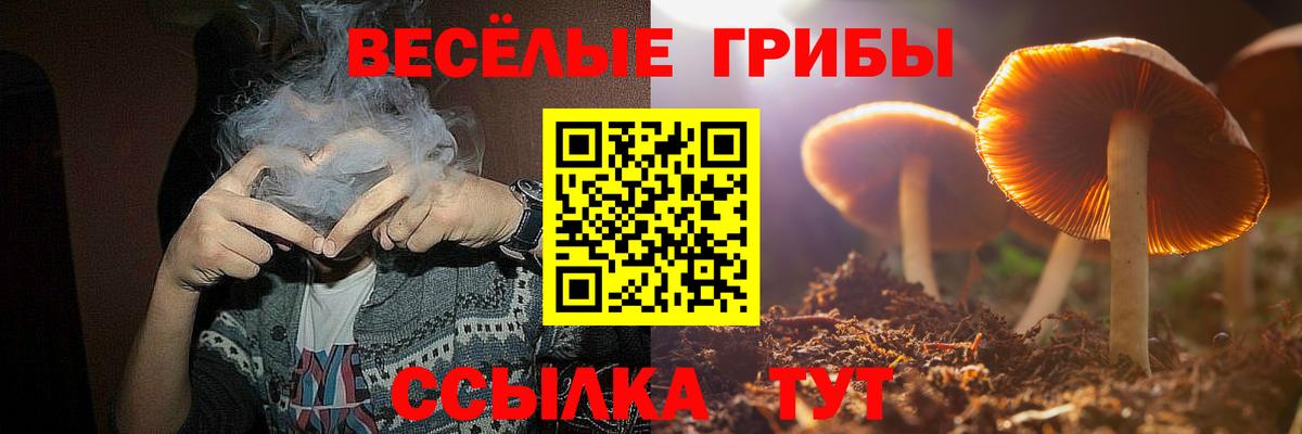 Луховицы  Псилоцибиновые грибы Psilocybe  Вход с VPN  Галлюциногенные грибы Magic Shrooms 